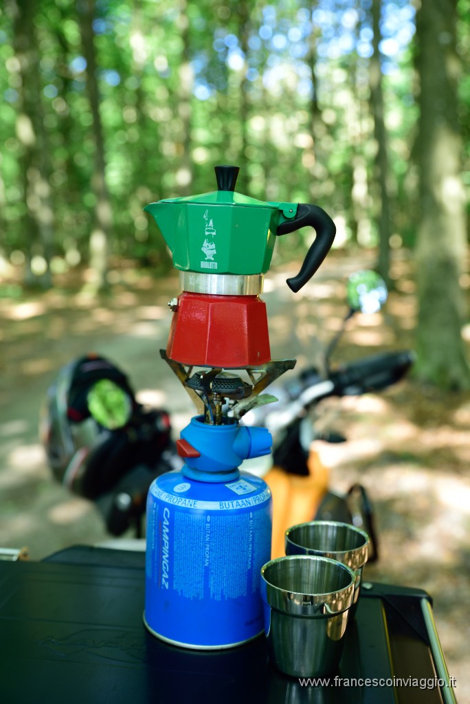 DSC_0893.JPG