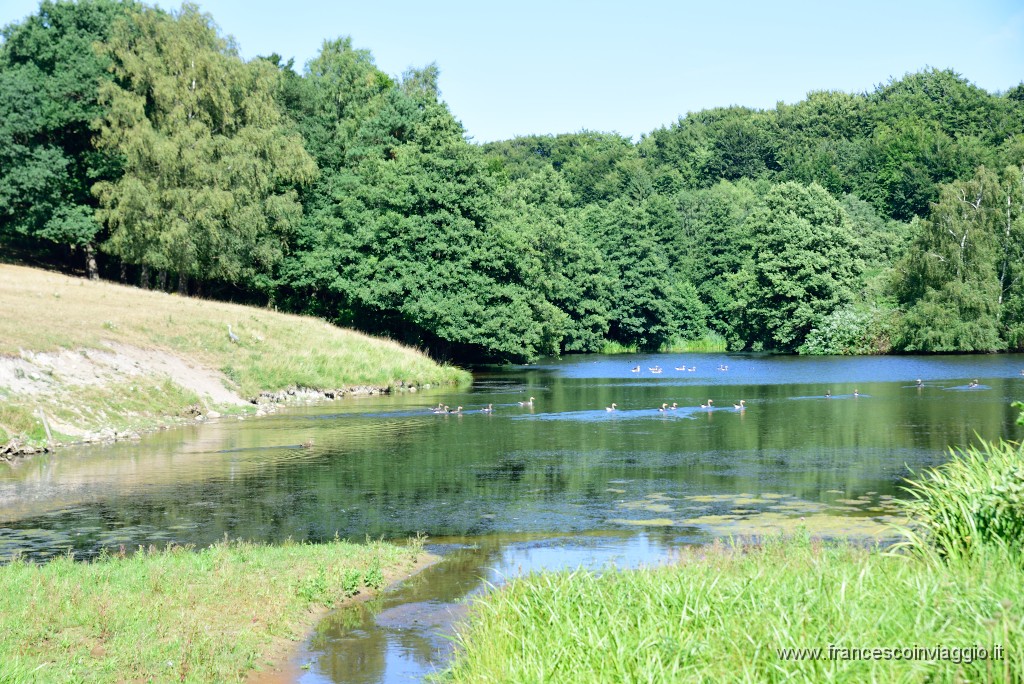 DSC_0959.JPG
