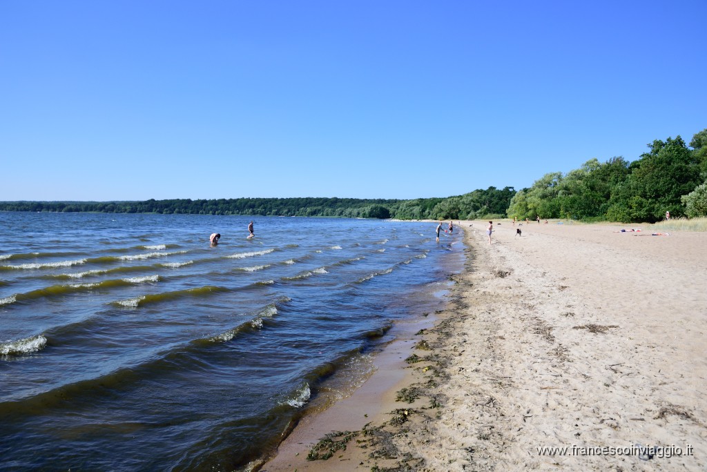 DSC_0980.JPG