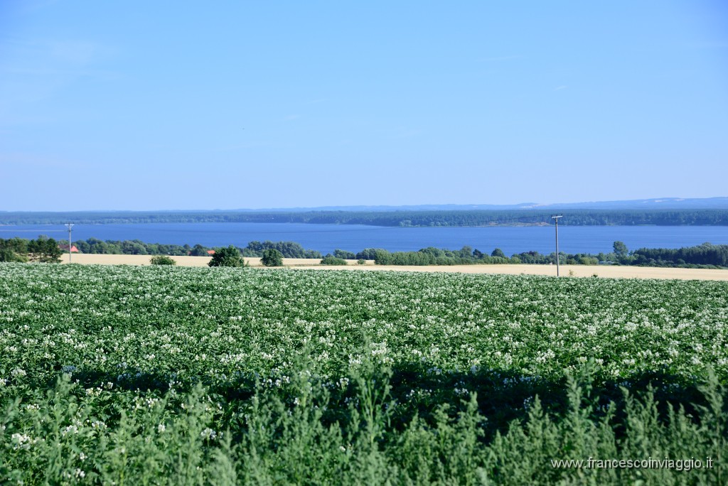 DSC_1060.JPG