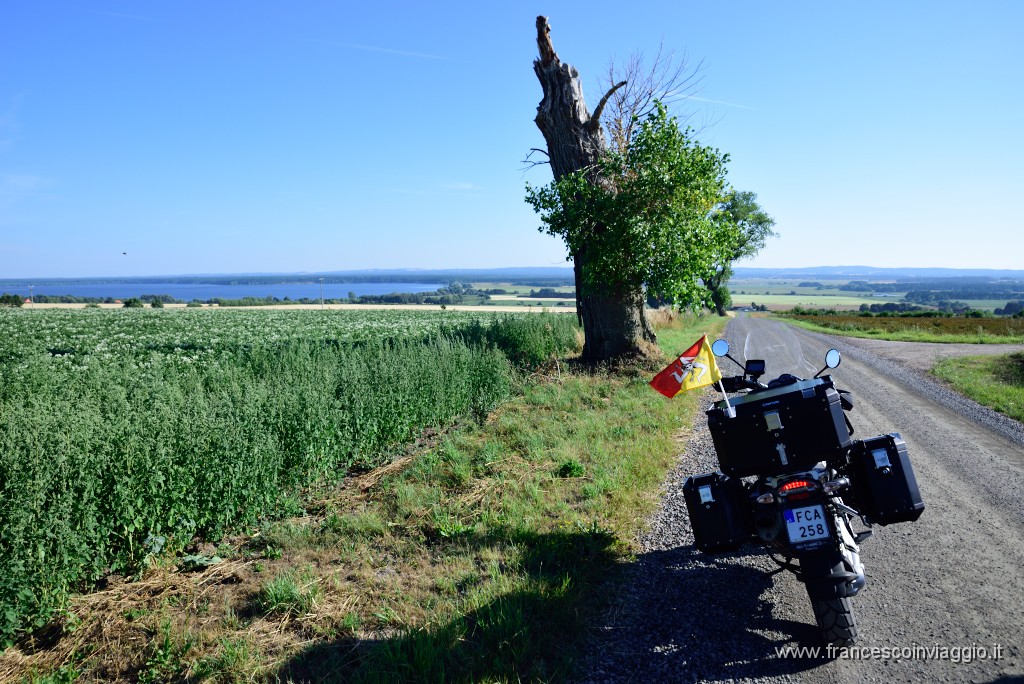 DSC_1061.JPG