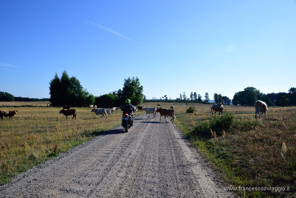 DSC_1106.JPG