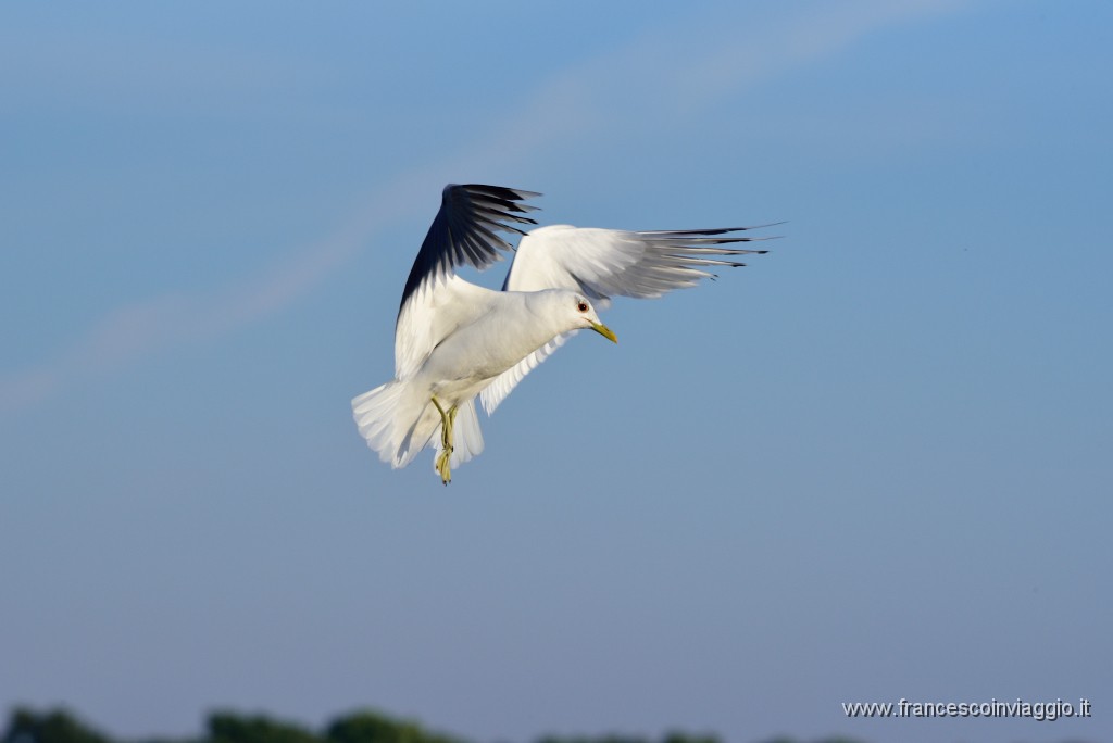 DSC_1189.JPG
