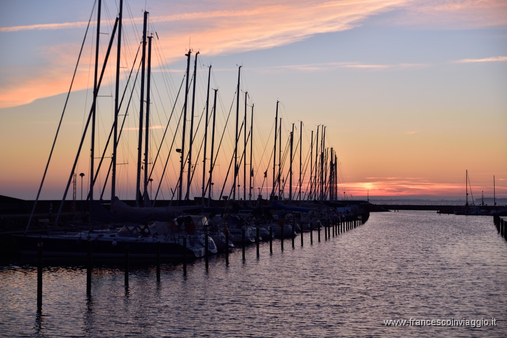 DSC_1362.JPG
