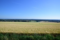 DSC_1082