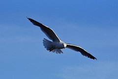 DSC_1201