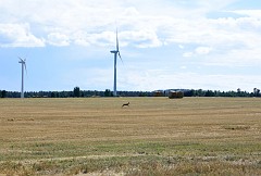 DSC_1620