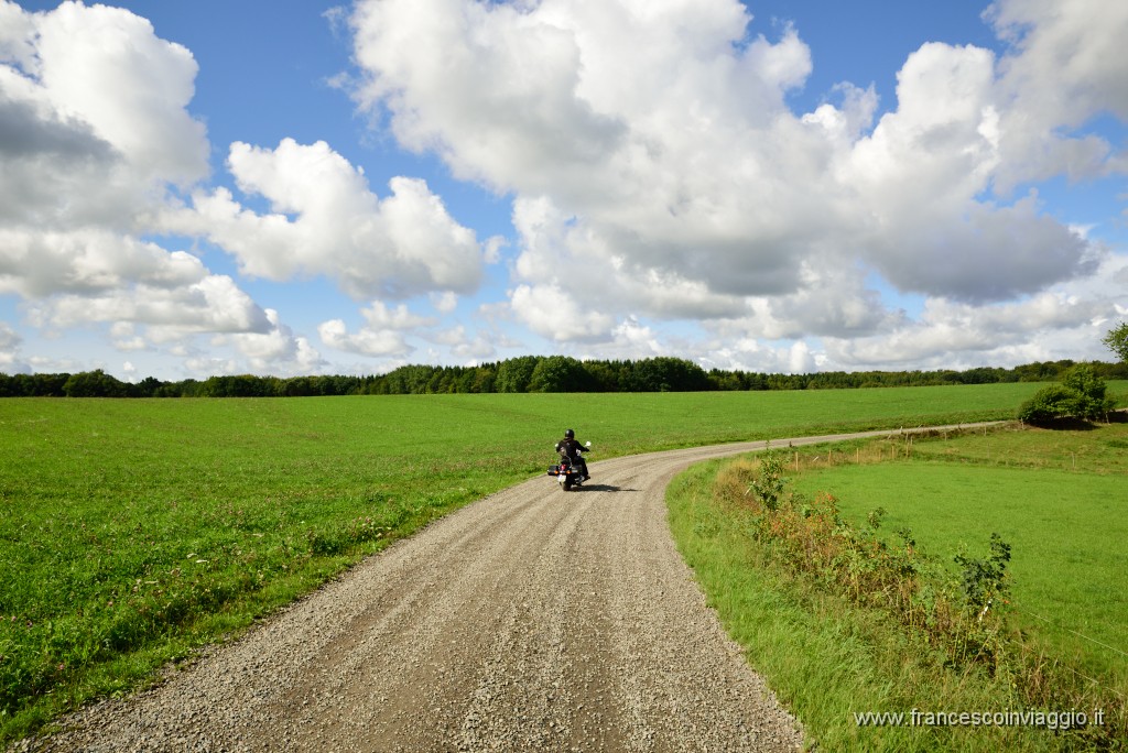 DSC_2393.JPG