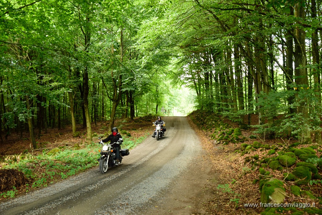 DSC_2423.JPG
