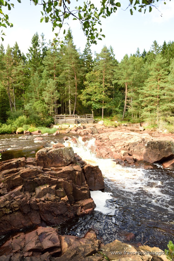 DSC_2566.JPG