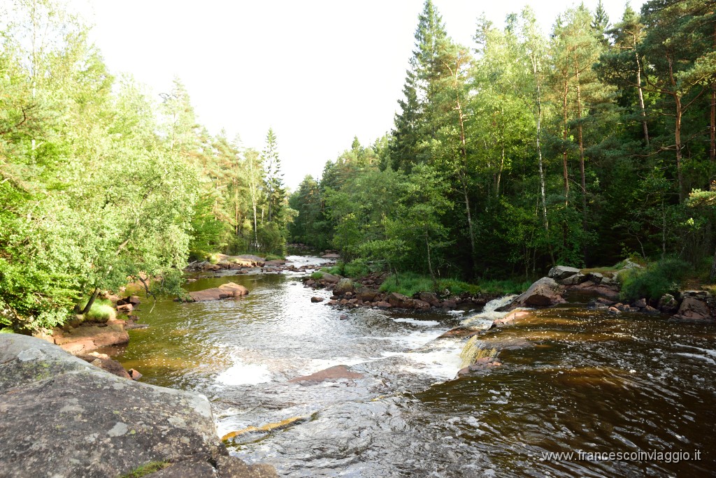 DSC_2649.JPG
