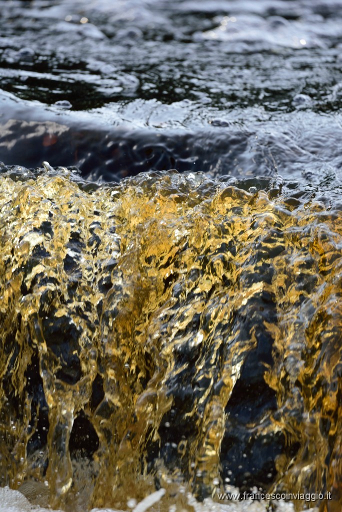 DSC_2665.JPG