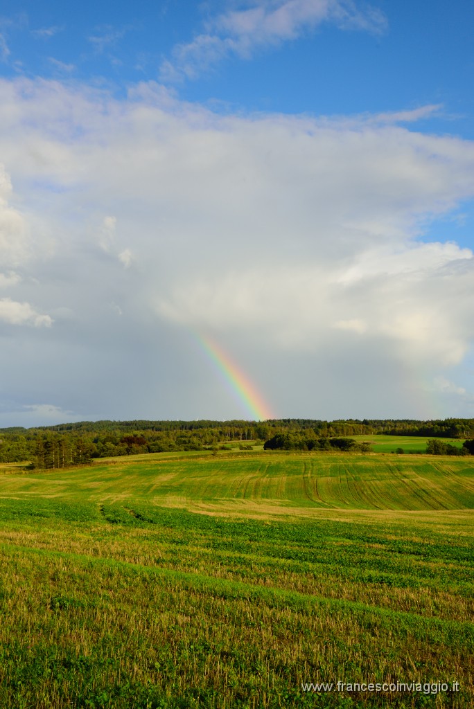 DSC_2747.JPG