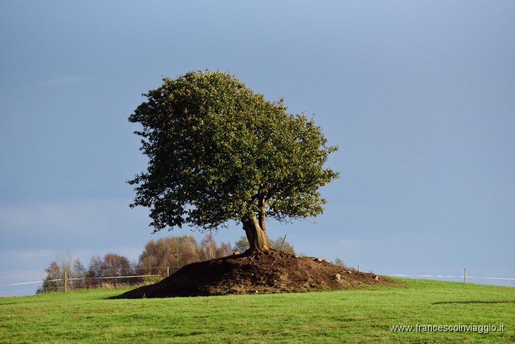 DSC_2759.JPG