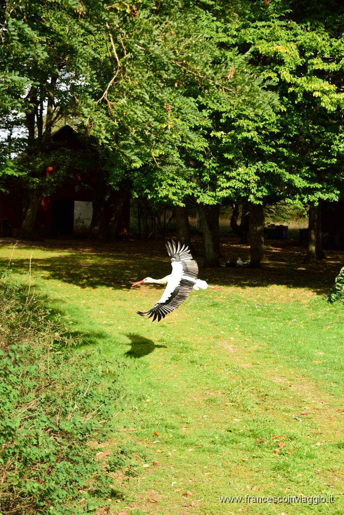 DSC_3119.JPG