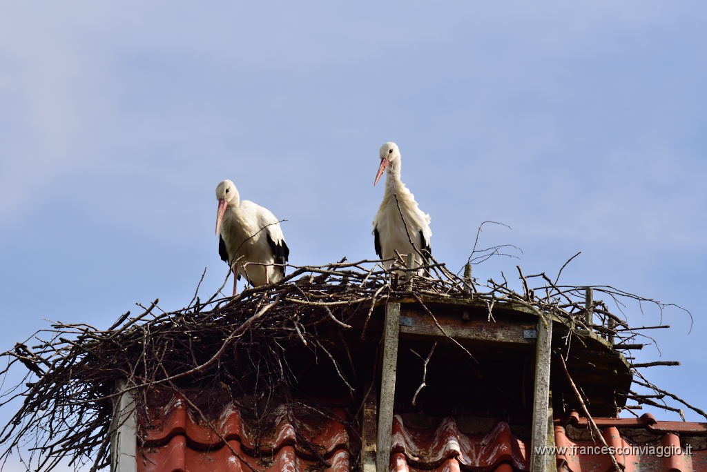 DSC_3163.JPG