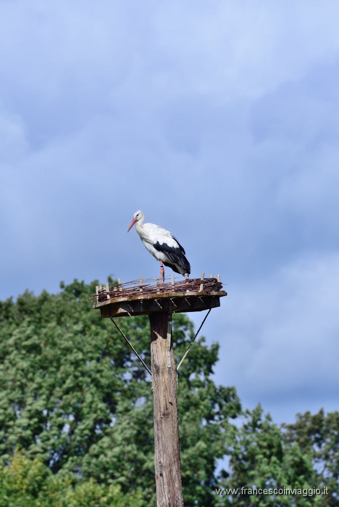 DSC_3262.JPG