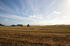 DSC_3034