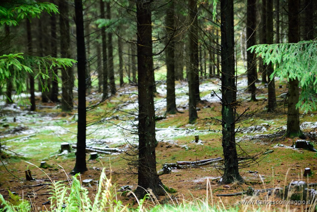 DSC_5095.JPG