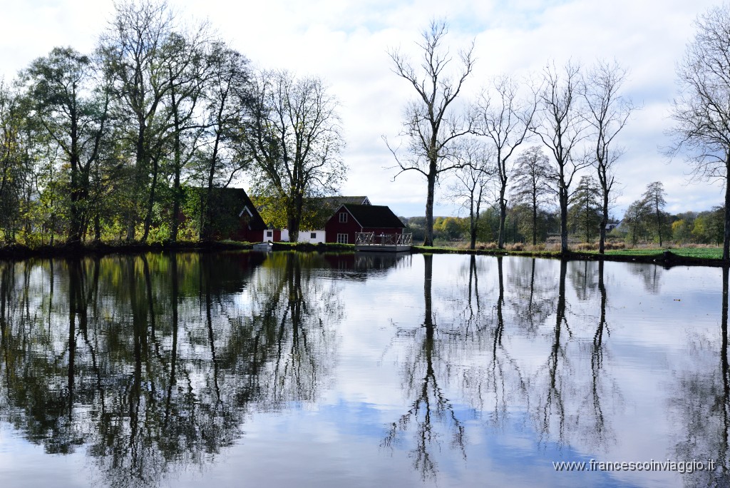 DSC_5155.JPG