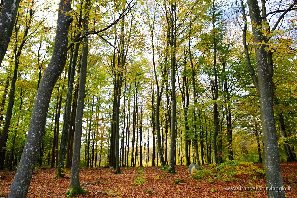 DSC_5191.JPG
