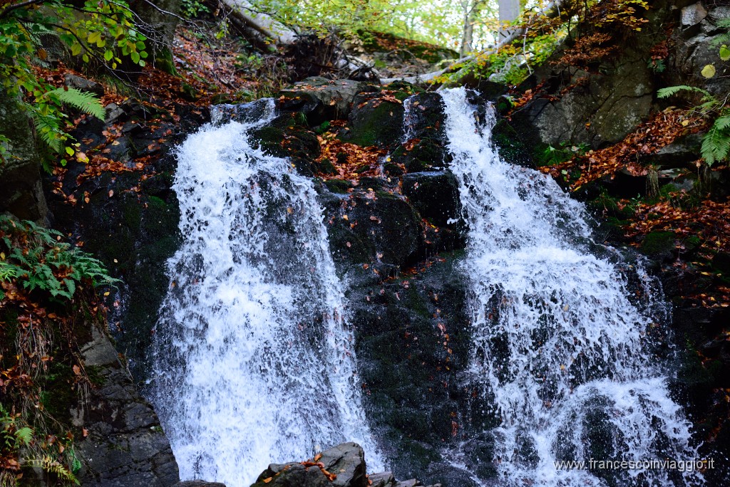 DSC_5314.JPG