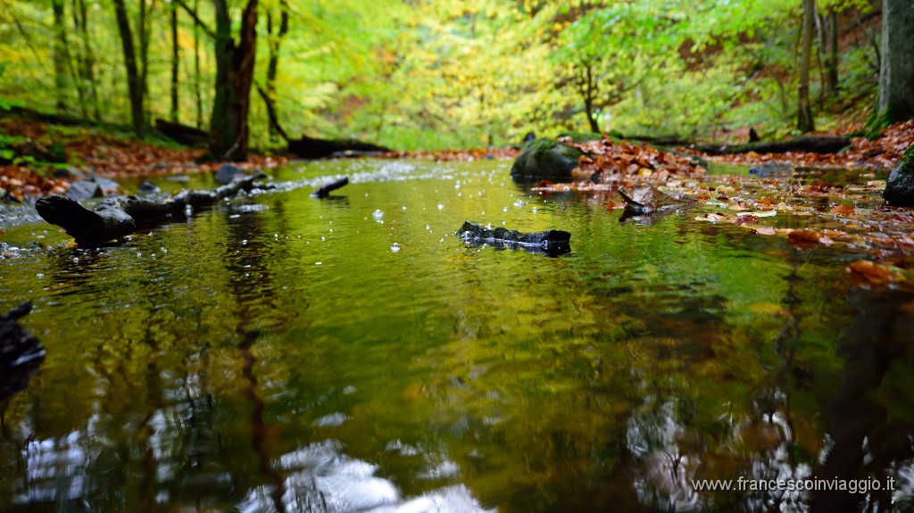 DSC_5351.JPG