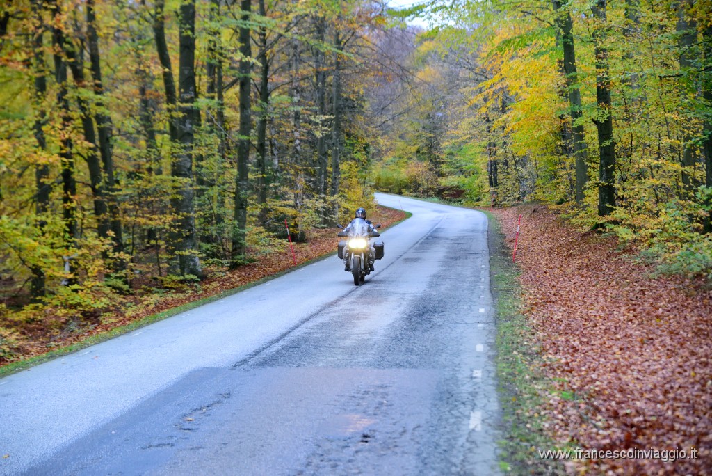 DSC_5409.JPG
