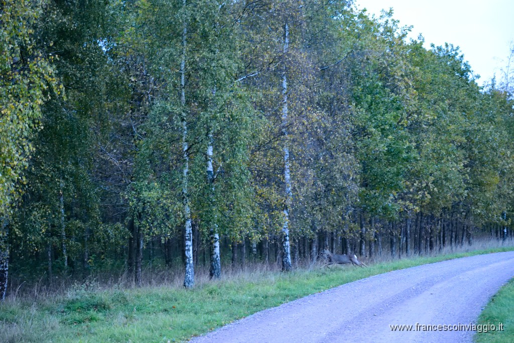 DSC_5421.JPG