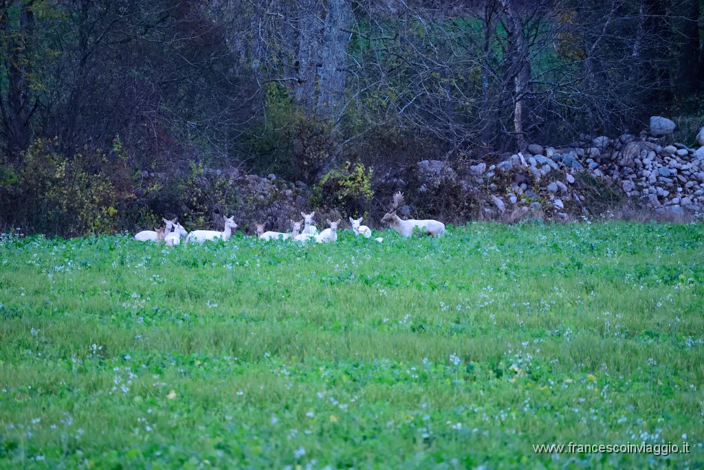 DSC_5506.JPG
