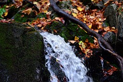 DSC_5309