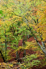 DSC_5362