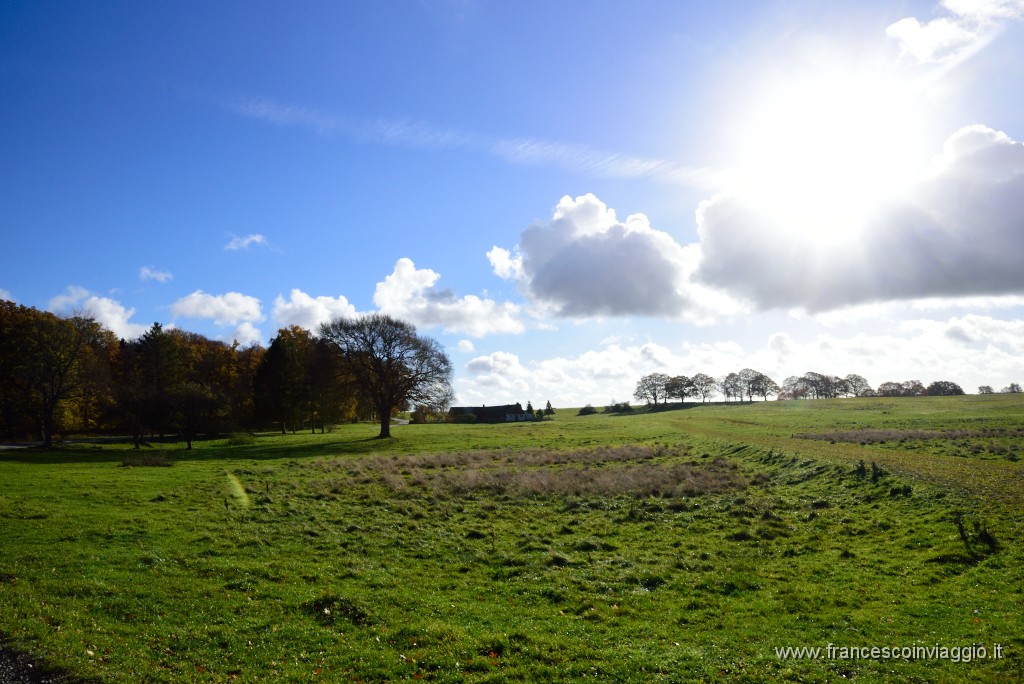 DSC_5604.JPG