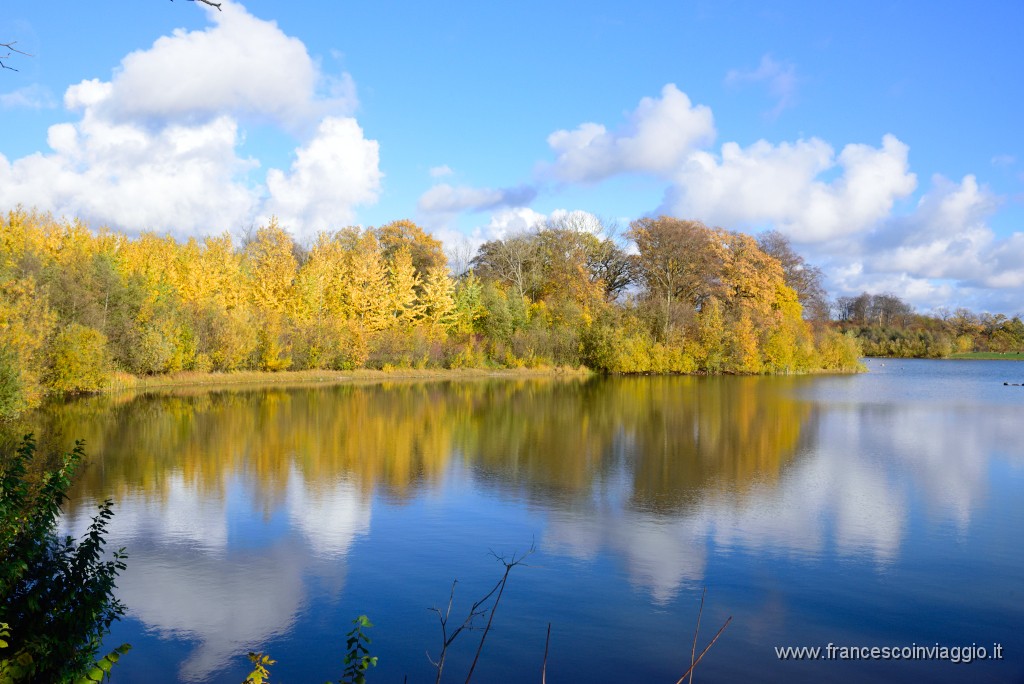 DSC_5654.JPG