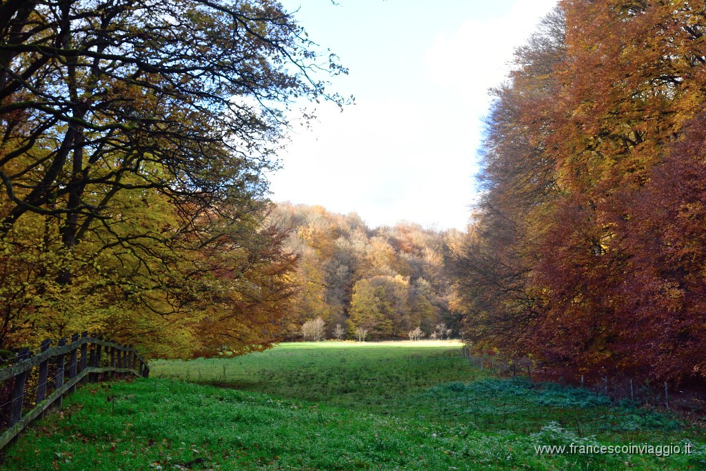 DSC_5785.JPG