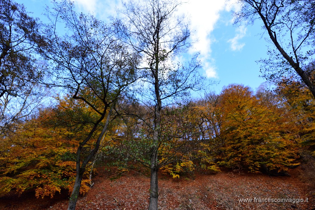 DSC_5812.JPG