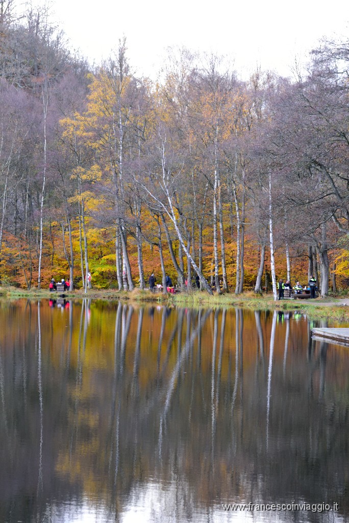 DSC_5820.JPG