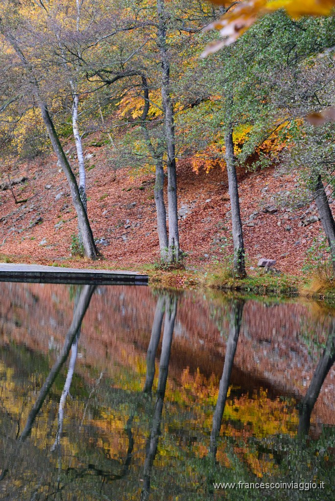 DSC_5831.JPG