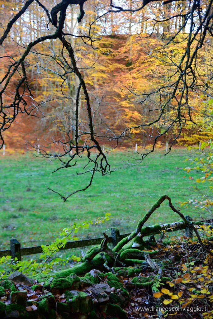 DSC_5859.JPG