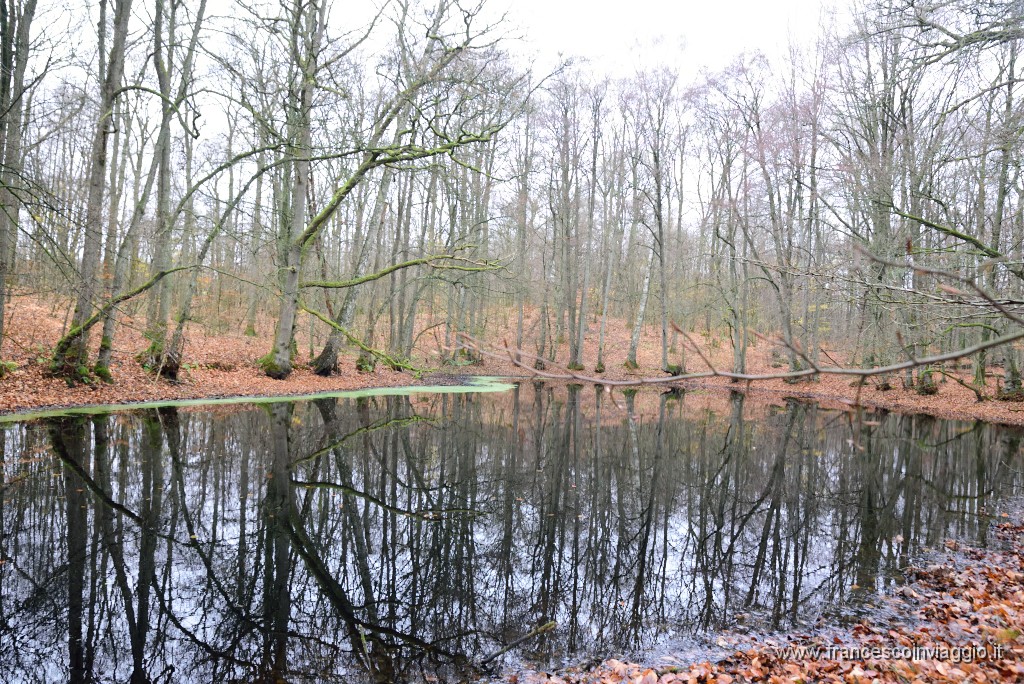 DSC_5880.JPG
