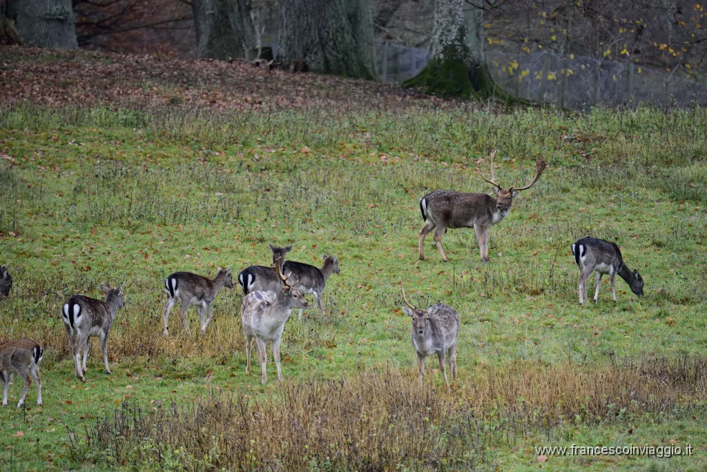 DSC_5884.JPG