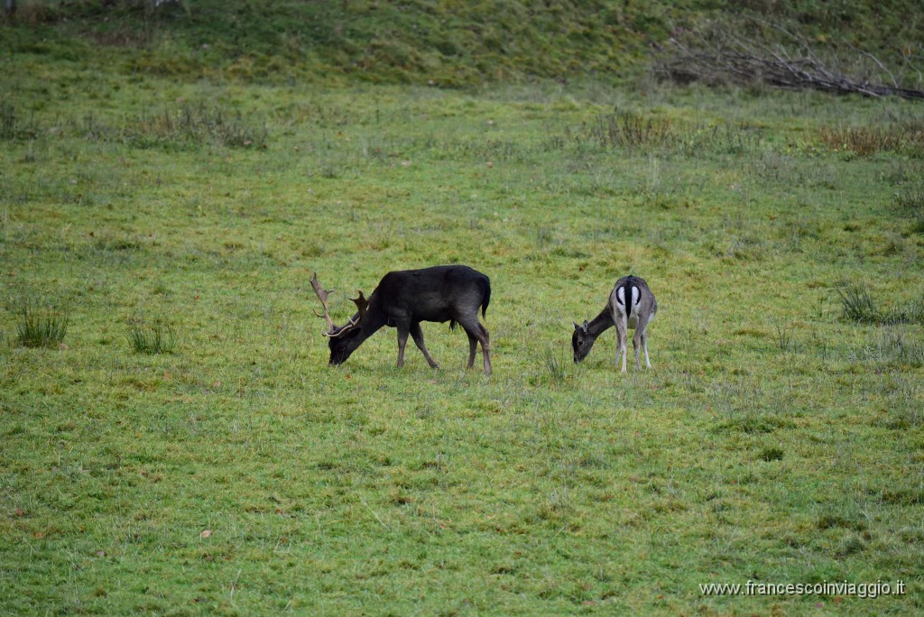 DSC_5886.JPG