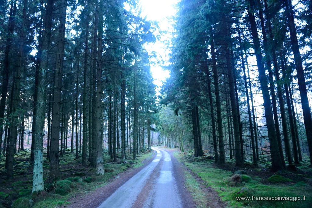 DSC_5931.JPG