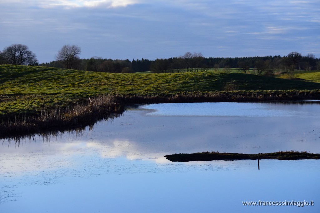 DSC_5956.JPG