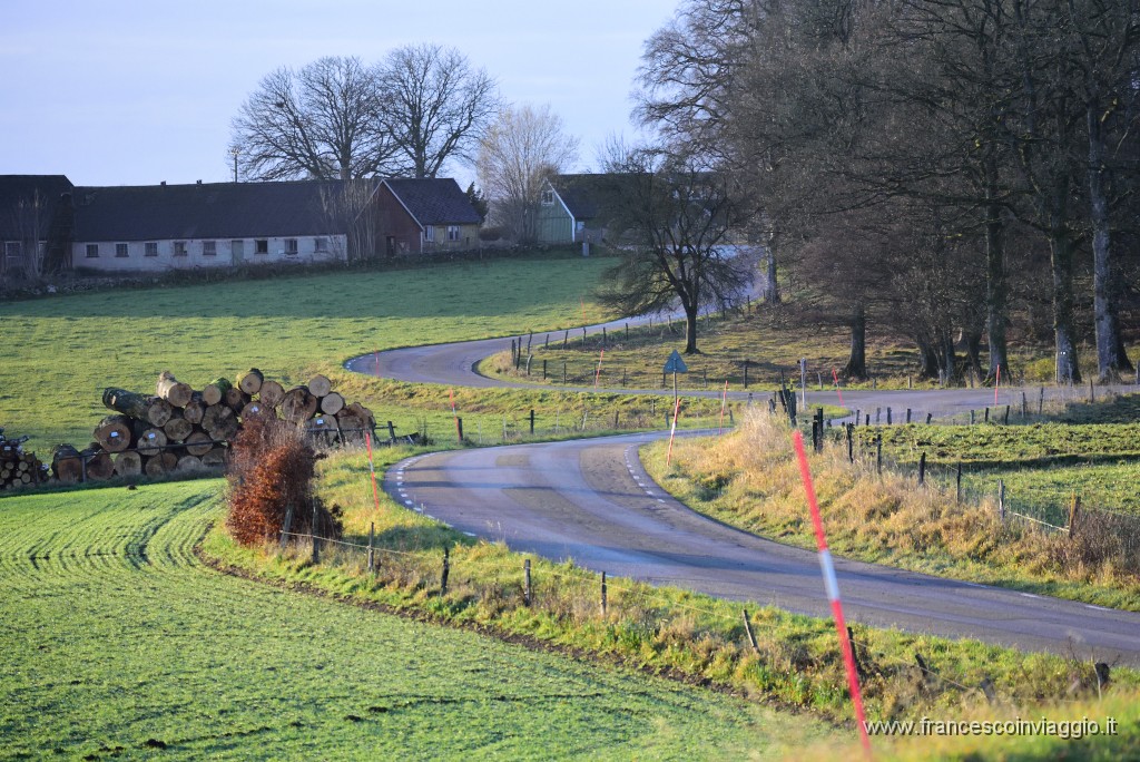 DSC_5975.JPG