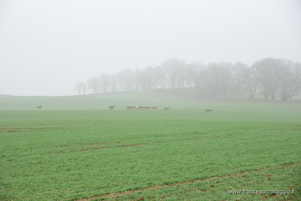 DSC_6035.JPG