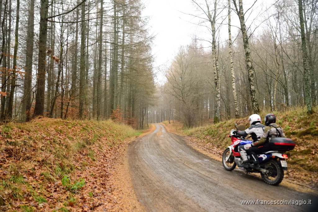 DSC_6070.JPG