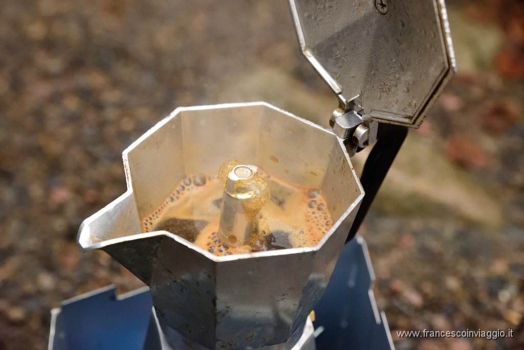 DSC_6130.JPG