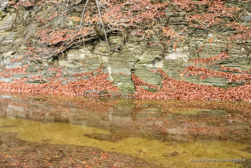 DSC_6173.JPG