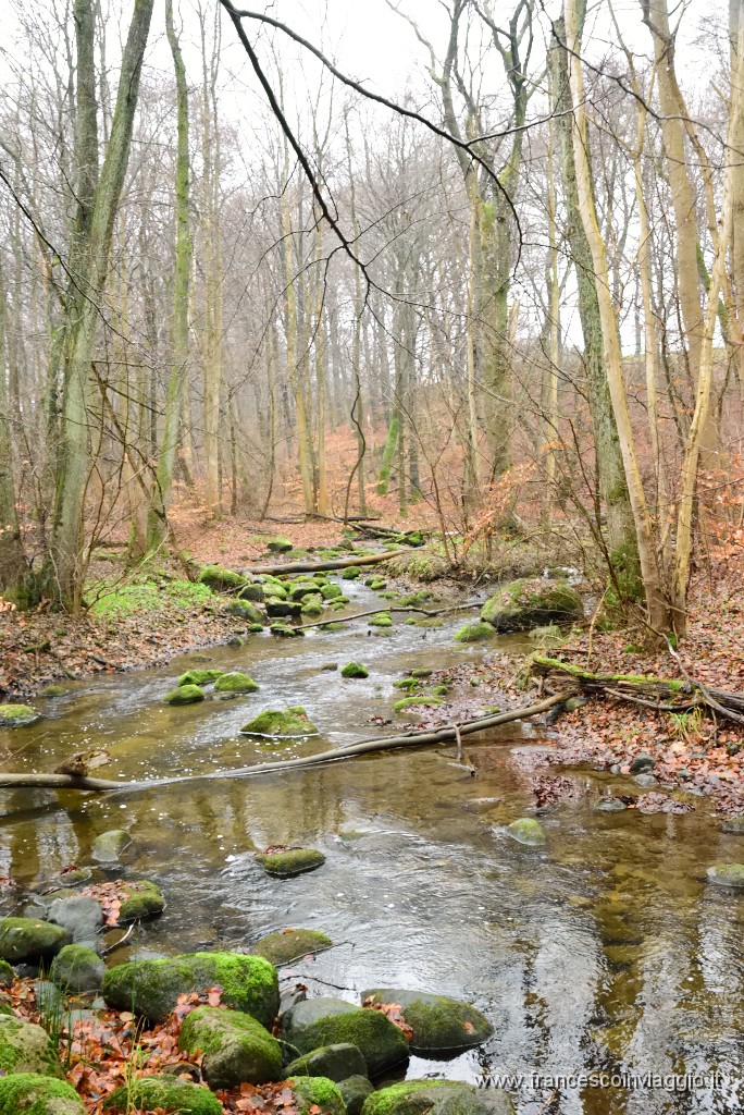 DSC_6221.JPG